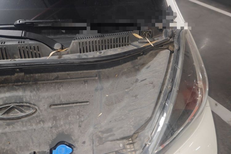 Used Chery QQ Little Ant 2021 150 000 Yuan "Ant Fan" Edition New Ant Cool Version Lithium-Ion Battery Engine Bay Left