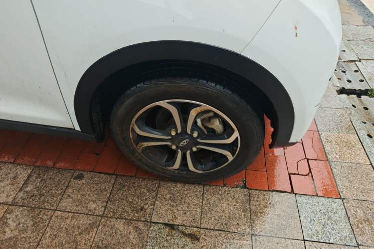 Used Chery QQ Little Ant 2021 150 000 Yuan "Ant Fan" Edition New Ant Cool Version Lithium-Ion Battery Exterior 1