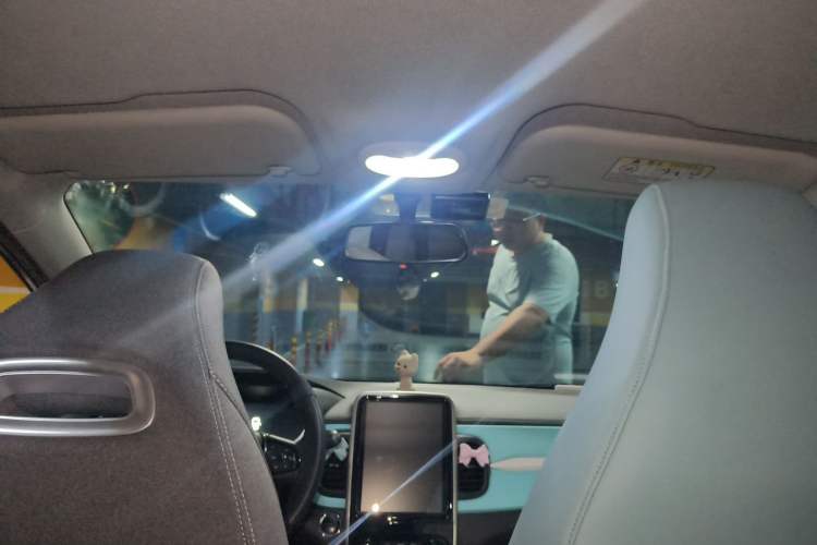 Used Chery QQ Little Ant 2021 150 000 Yuan Ant Fan Edition New Ant Cool Version Lithium Iron Phosphate Headliner