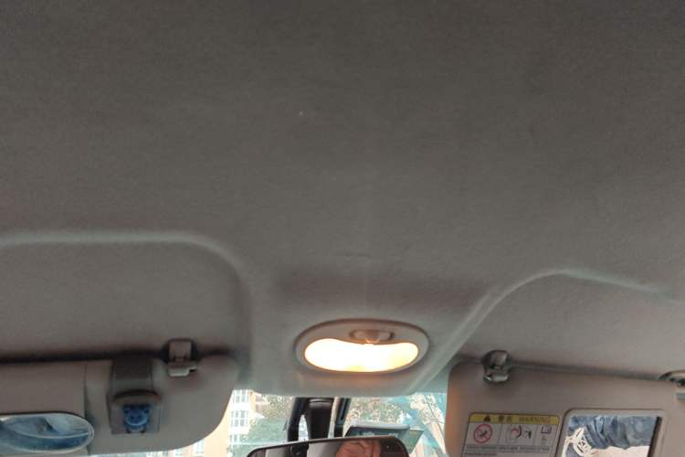 Used Chery QQ Little Ant 2021 150 000 Yuan "Ant Fan" Edition New Ant Cool Version Lithium-Ion Battery Headliner