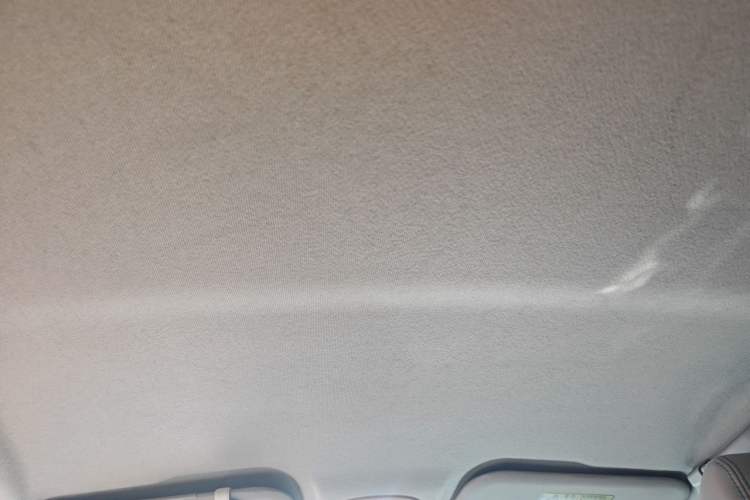 Used Chery QQ Little Ant 2021 200 000-Yuan Ant Fan Edition Oxygen Version Lithium Iron Phosphate 301 km Headliner
