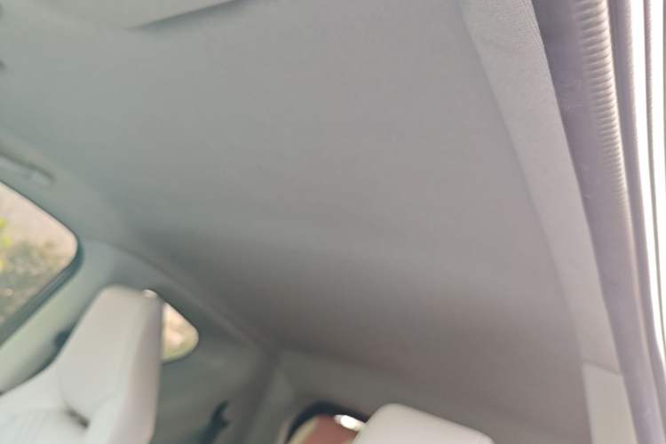 Used Chery QQ Little Ant 2021 200 000-Yuan Ant Fan Edition Talent Version NMC Battery 301 km Headliner