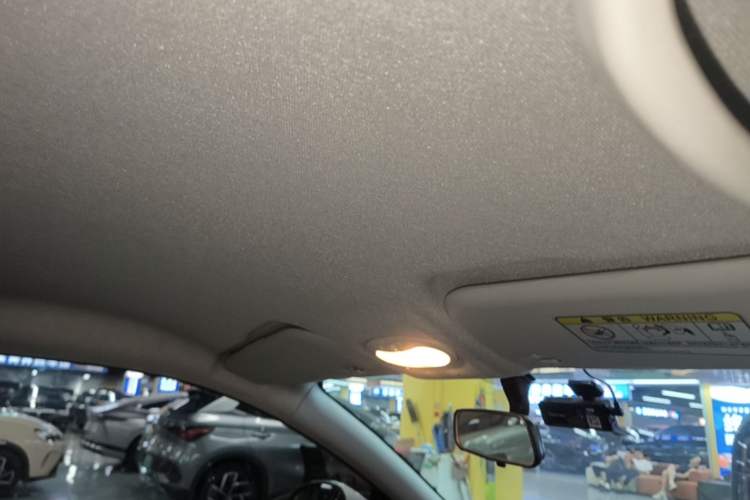 Used Chery QQ Little Ant 2021 200 000-Yuan Ant Fan Edition Oxygen Version Lithium Iron Phosphate 301 km Headliner
