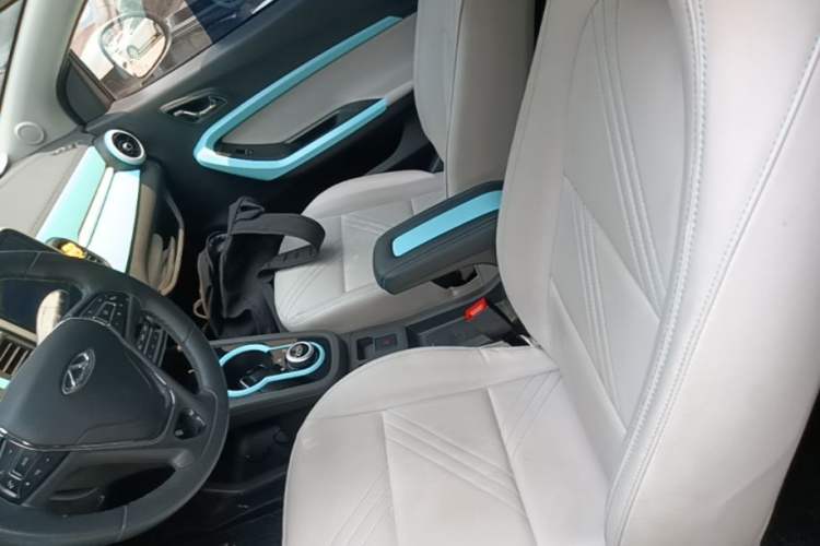 Used Chery QQ Little Ant 2021 Revised Version 150 000 Yuan Ant Fan Edition New Ant Luxe Version Lithium Iron Phosphate Left Front Seat