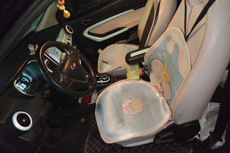 Used Chery QQ Little Ant 2021 150 000 Yuan Ant Fan Edition New Ant Cool Version Lithium Iron Phosphate Left Front Seat