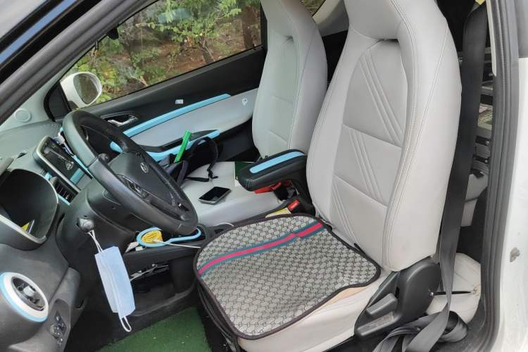 Used Chery QQ Little Ant 2021 200 000-Yuan Ant Fan Edition Talent Version NMC Battery 301 km Left Front Seat
