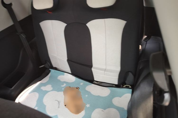 Used Chery QQ Little Ant 2021 150 000 Yuan Ant Fan Edition Ant Trend Version Lithium-Ion Battery Left Rear Seat