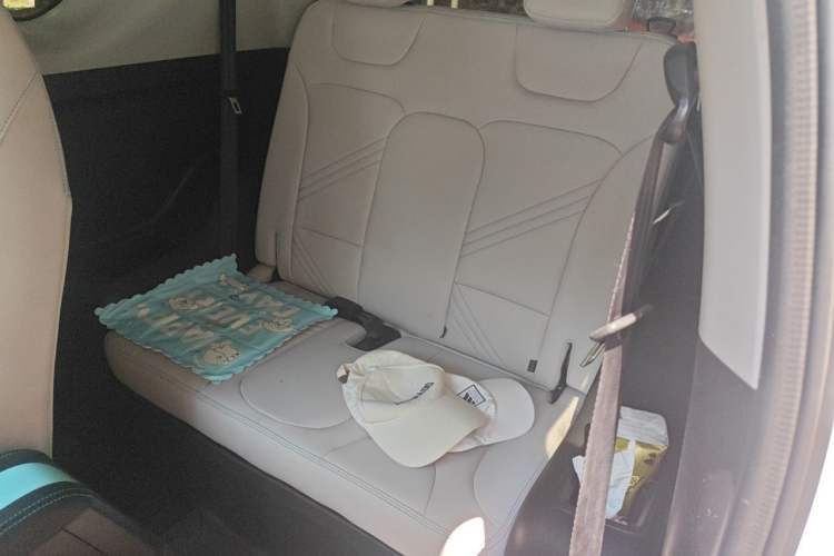Used Chery QQ Little Ant 2021 200 000-Yuan Ant Fan Edition Oxygen Version Lithium Iron Phosphate 301 km Left Rear Seat