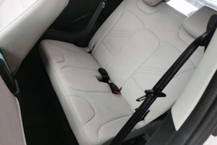 Used Chery QQ Little Ant 2021 200 000-Yuan Ant Fan Edition Talent Version Lithium Iron Phosphate 301 km Left Rear Seat