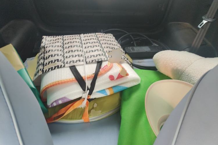 Used Chery QQ Little Ant 2021 200 000-Yuan Ant Fan Edition Talent Version NMC Battery 301 km Left Rear Seat
