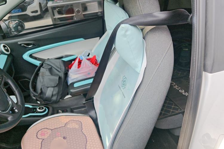 Used Chery QQ Little Ant 2021 Revised Version 150 000 Yuan Ant Fan Edition New Ant Cool Edition Lithium Iron Phosphate Left Rear Seat