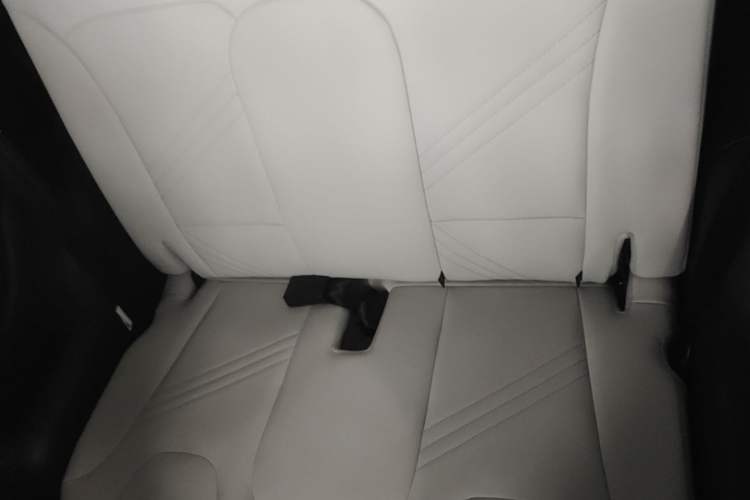 Used Chery QQ Little Ant 2021 200 000-Yuan Ant Fan Edition Oxygen Version Lithium Iron Phosphate 301 km Left Rear Seat