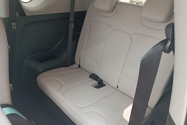 Used Chery QQ Little Ant 2021 200 000-Yuan Ant Fan Edition Energized Version Lithium Iron Phosphate 301 km Left Rear Seat