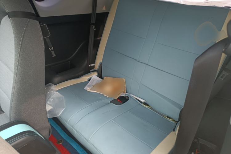 Used Chery QQ Little Ant 2021 200 000-Yuan Ant Fan Edition Talent Version NMC Battery 301 km Left Rear Seat