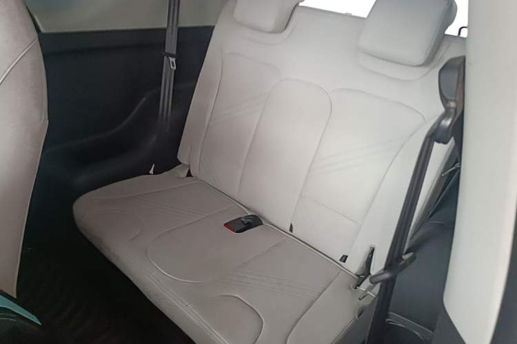 Used Chery QQ Little Ant 2021 200 000-Yuan Ant Fan Edition Talent Version NMC Battery 301 km Left Rear Seat