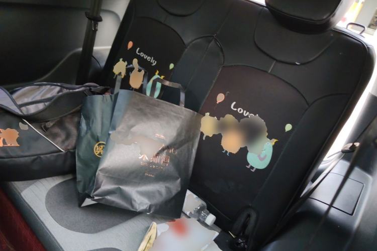 Used Chery QQ Little Ant 2021 150 000 Yuan "Ant Fan" Edition New Ant Xuan Version Lithium-NMC Battery Left Rear Seat