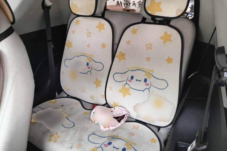 Used Chery QQ Little Ant 2021 200 000-Yuan Ant Fan Edition Oxygen Version Lithium Iron Phosphate 301 km Left Rear Seat