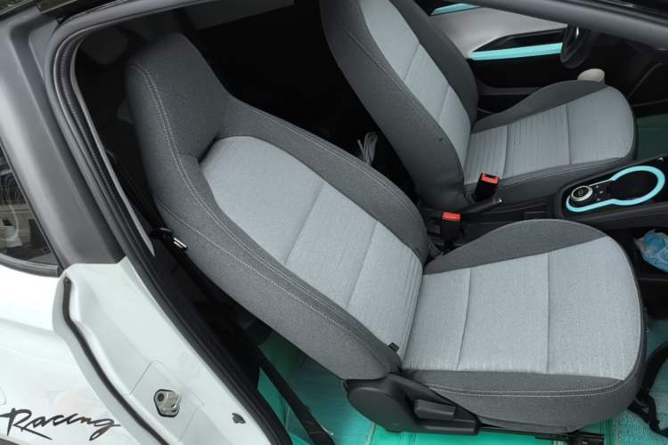 Used Chery QQ Little Ant 2021 150 000 Yuan Ant Fan Edition Ant Trend Version Lithium Iron Phosphate Right Front Seat