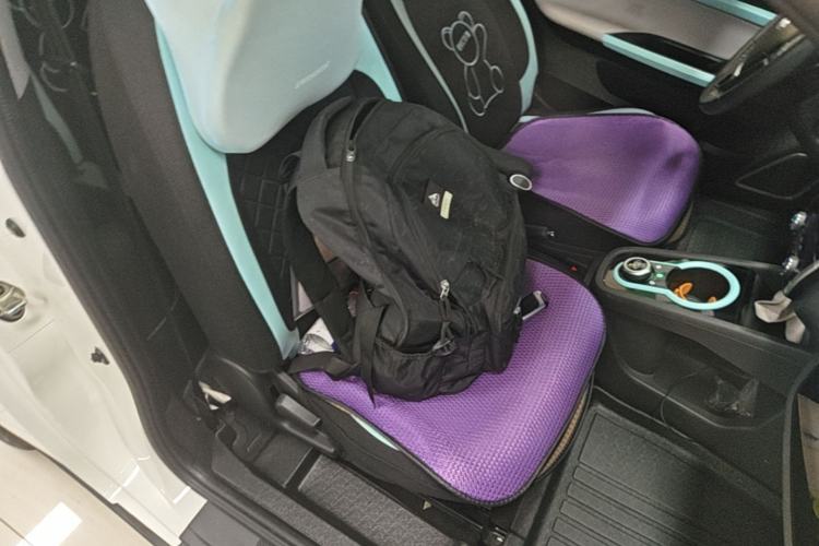 Used Chery QQ Little Ant 2021 150 000 Yuan Ant Fan Edition Ant Trend Version Lithium Iron Phosphate Right Front Seat