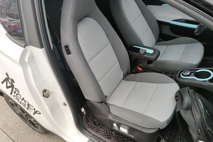 Used Chery QQ Little Ant 2021 150 000 Yuan Ant Fan Edition Ant Stylish Version Lithium-Ion Battery Right Front Seat