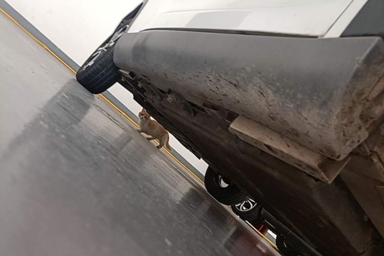 Used Chery QQ Little Ant 2021 200 000-Yuan Ant Fan Edition Talent Version NMC Battery 301 km Right Side Sill