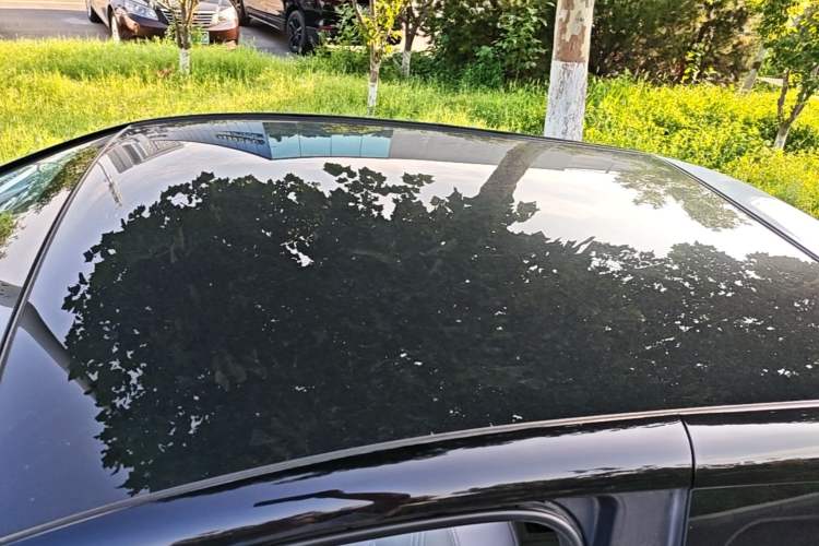 Used Chery QQ Little Ant 2021 200 000-Yuan Ant Fan Edition Talent Version NMC Battery 301 km Roof