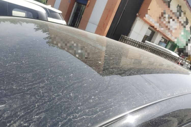 Used Chery QQ Little Ant 2021 Revised Version 150 000 Yuan Ant Fan Edition Ant Tide Version Lithium Iron Phosphate Roof