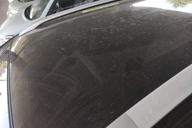 Used Chery QQ Little Ant 2021 200 000 Yuan Ant Fan Edition Energized Version NMC Lithium Battery 408 km Roof
