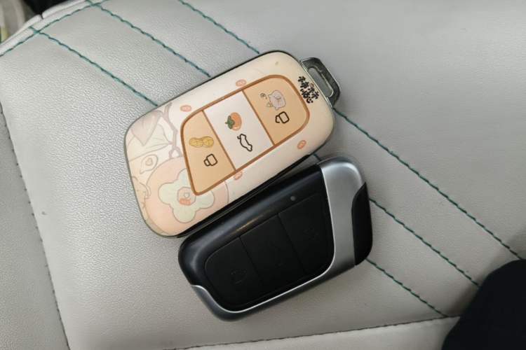 Used Chery QQ Little Ant 2021 200 000 Yuan "Ant Fan" Edition Energized Version NMC Lithium Battery 301 km Vehicle Key