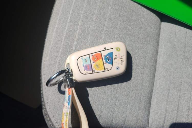Used Chery QQ Little Ant 2021 200 000-Yuan Ant Fan Edition Talent Version NMC Battery 301 km Vehicle Key