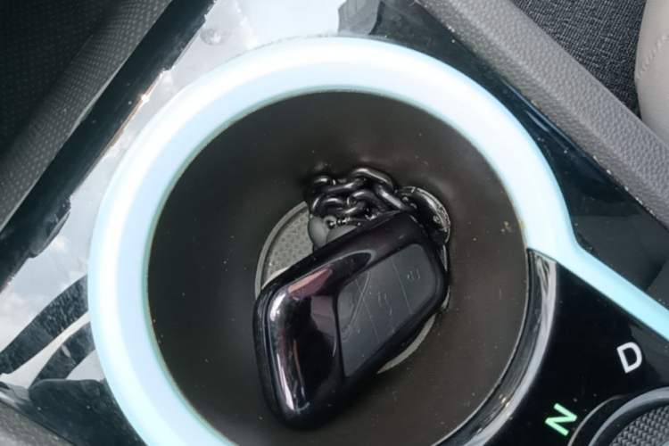 Used Chery QQ Little Ant 2021 Revised Version 150 000 Yuan Ant Fan Edition New Ant Luxe Version Lithium Iron Phosphate Vehicle Key