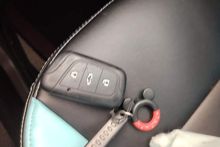 Used Chery QQ Little Ant 2021 150 000 Yuan Ant Fan Edition New Ant Cool Version Lithium Iron Phosphate Vehicle Key