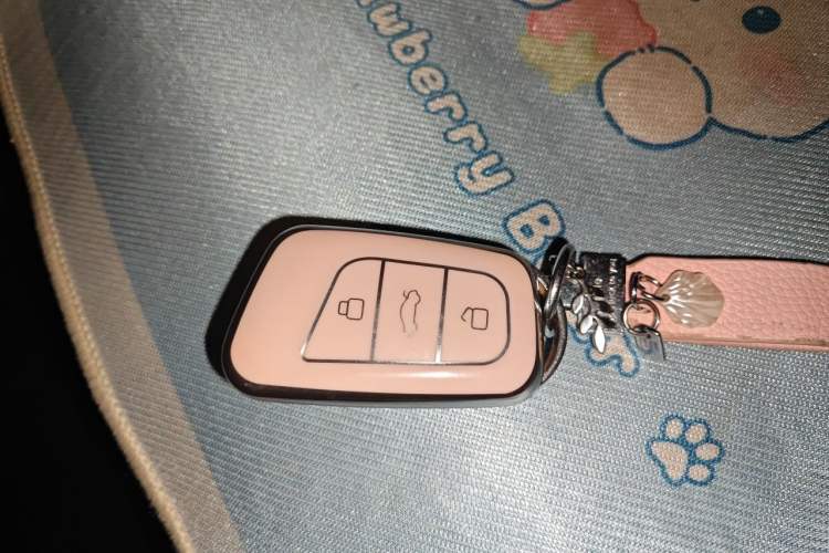 Used Chery QQ Little Ant 2021 150 000 Yuan Ant Fan Edition New Ant Cool Version Lithium Iron Phosphate Vehicle Key
