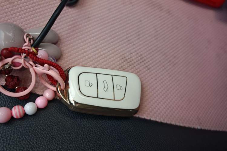 Used Chery QQ Little Ant 2021 150 000 Yuan Ant Fan Edition Ant Cool Version Lithium Iron Phosphate Vehicle Key