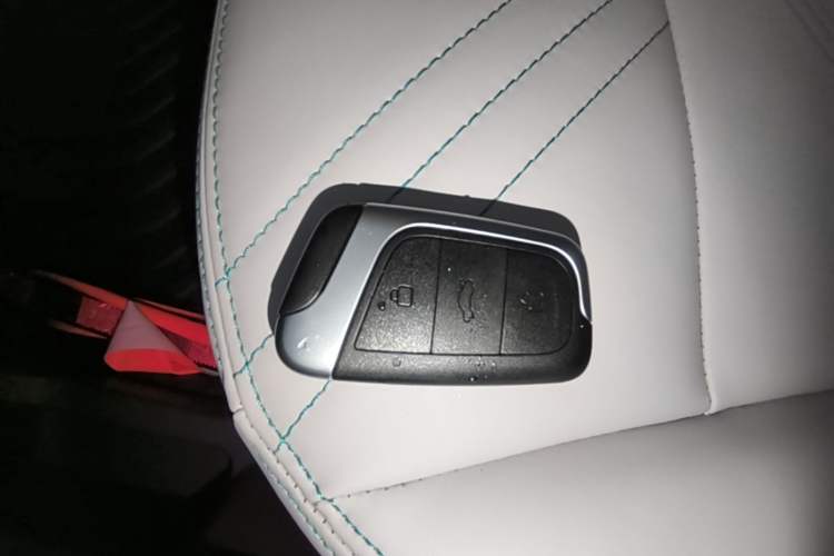 Used Chery QQ Little Ant 2021 200 000-Yuan Ant Fan Edition Talent Version Lithium Iron Phosphate 301 km Vehicle Key
