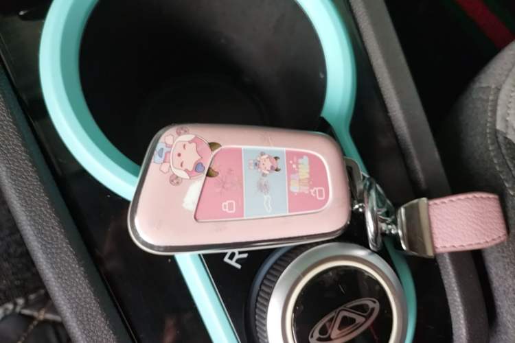 Used Chery QQ Little Ant 2021 150 000 Yuan Ant Fan Edition Ant Cool Version Lithium Iron Phosphate Vehicle Key
