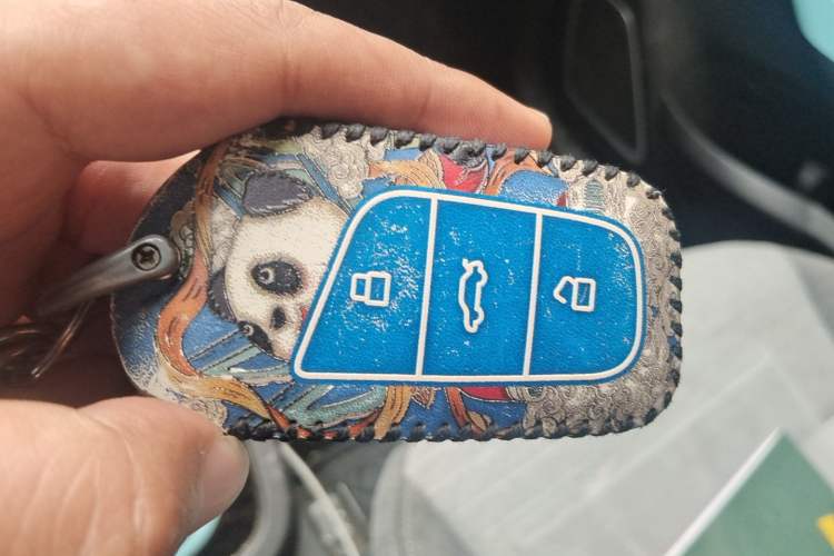Used Chery QQ Little Ant 2021 150 000 Yuan "Ant Fan" Edition New Ant Xuan Version Lithium-NMC Battery Vehicle Key