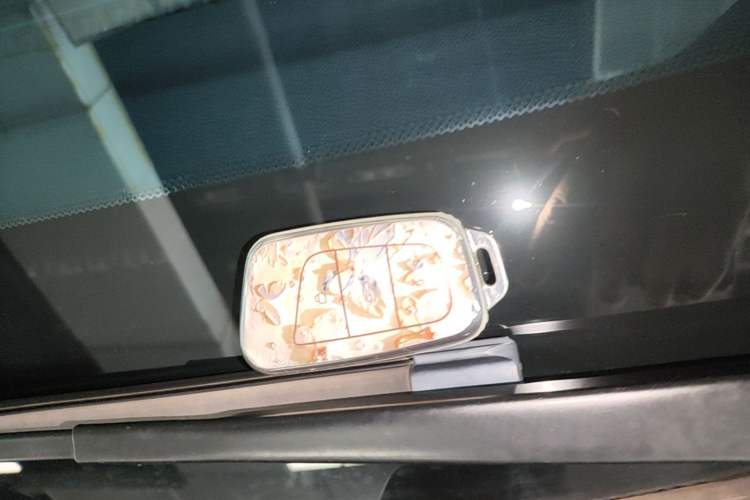 Used Chery QQ Little Ant 2021 200 000-Yuan Ant Fan Edition Talent Version NMC Battery 301 km Vehicle Key