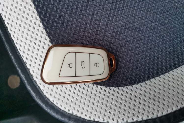 Used Chery QQ Little Ant 2021 150 000 Yuan "Ant Fan" Edition New Ant Cool Version Lithium-Ion Battery Vehicle Key