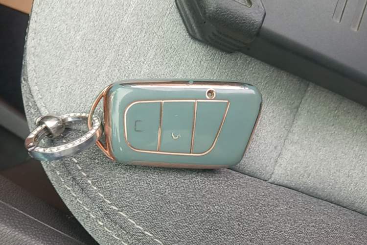 Used Chery QQ Little Ant 2021 150 000 Yuan Ant Fan Edition Ant Stylish Version Lithium-Ion Battery Vehicle Key
