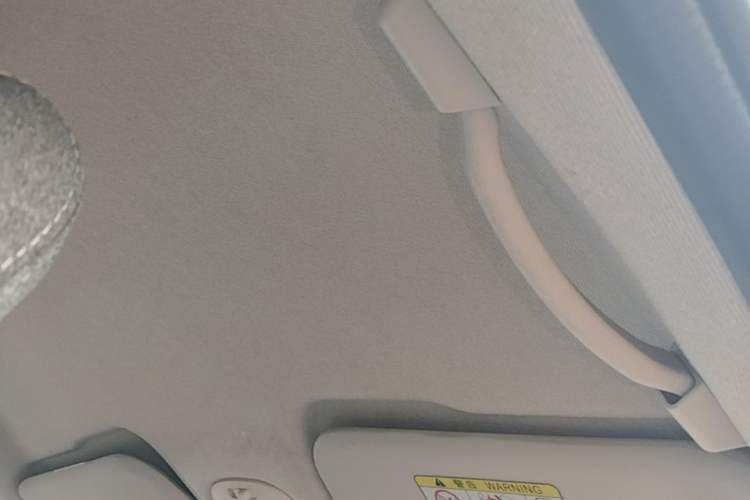 Used Chery QQ Little Ant 2021 150 000 Yuan "Ant Fan" Edition New Ant Cool Version Lithium-Ion Battery Headliner