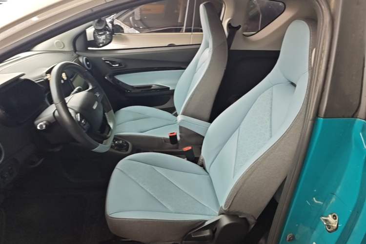 Used Chery QQ Little Ant 2022 Sweet Pink Edition Half-Sugar Version Lithium Iron Phosphate 30 kW 301 km Left Front Seat