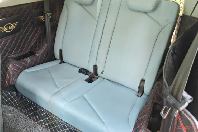 Used Chery QQ Little Ant 2022 Sweet Pink Edition Low-Sugar Version 30kW 301km Range Left Rear Seat