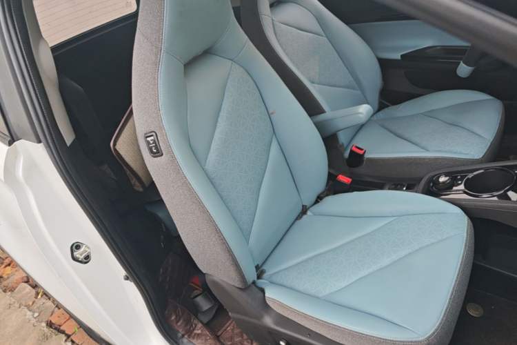 Used Chery QQ Little Ant 2022 Sweet Pink Edition Half-Sugar Version Lithium Iron Phosphate 30 kW 301 km Right Front Seat