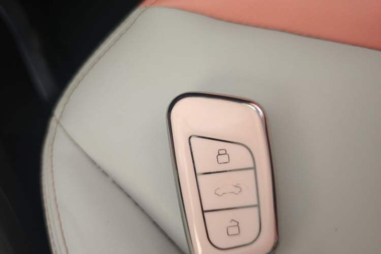 Used Chery QQ Little Ant 2022 Revised Version Sweet Pink Edition Half-Sugar Version Lithium Iron Phosphate 30.7 kWh 30 kW 301 km Vehicle Key