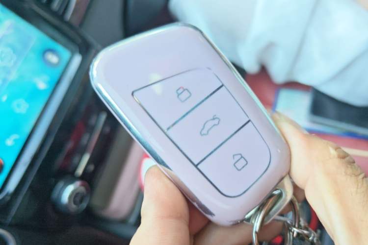 Used Chery QQ Little Ant 2022 Sweet Pink Edition Half-Sugar Version Lithium Iron Phosphate 30 kW 301 km Vehicle Key