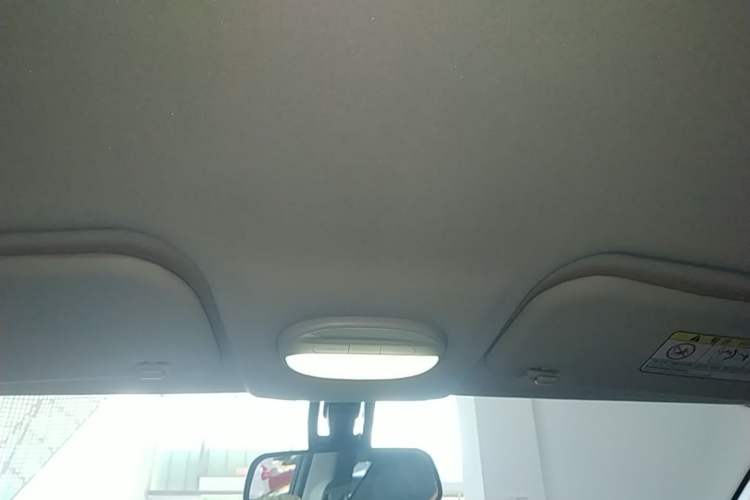 Used Chery QQ Little Ant 2022 Sweet Pink Edition Half-Sugar Version 3-Cell Lithium 30kW 301km Headliner