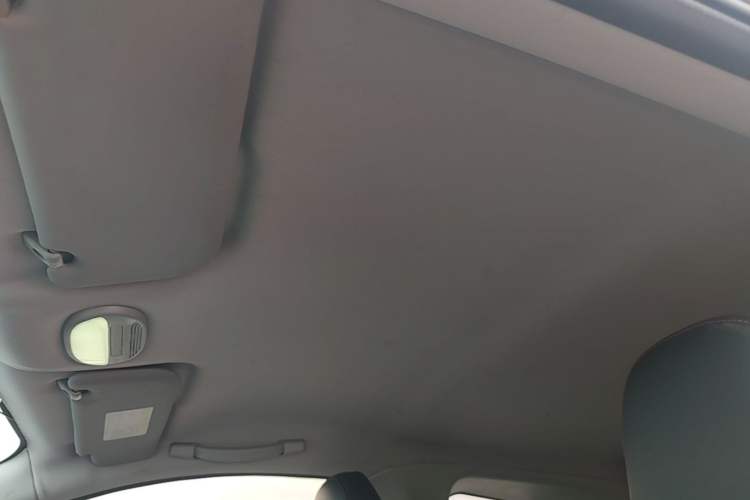 Used Chery QQ Little Ant 2022 Sweet Pink Edition Half-Sugar Version Lithium Iron Phosphate 30 kW 301 km Headliner