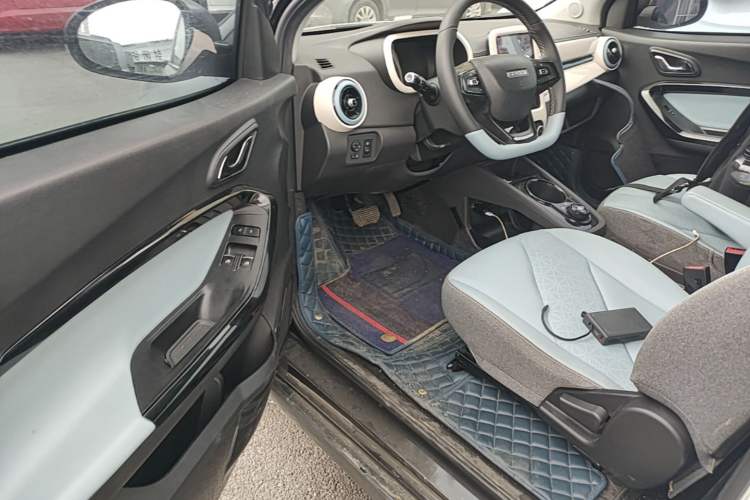 Used Chery QQ Little Ant 2022 Restyled Version Sweet Pink Edition Half-Sugar Version 30.6 kWh 30 kW 301 km Left Front Seat