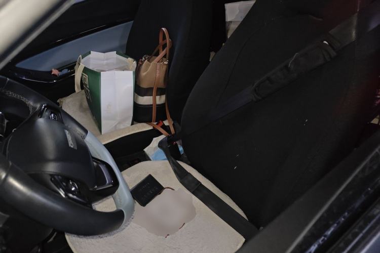 Used Chery QQ Little Ant 2022 Sweet Pink Edition Half-Sugar Version Lithium Iron Phosphate 30 kW 301 km Left Front Seat